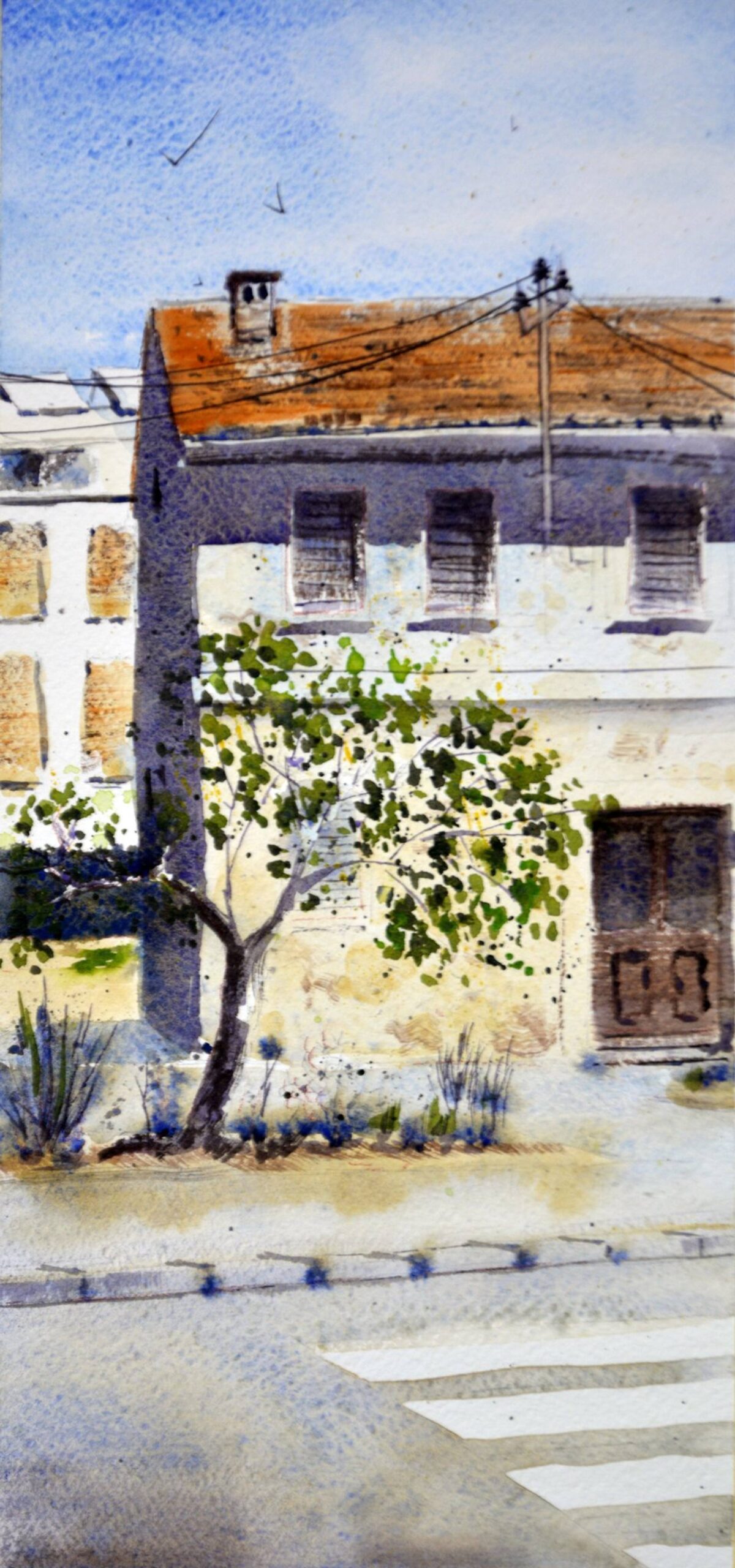 Čarobno mesto u Fažani, Hrvatska 17×36 cm 2024