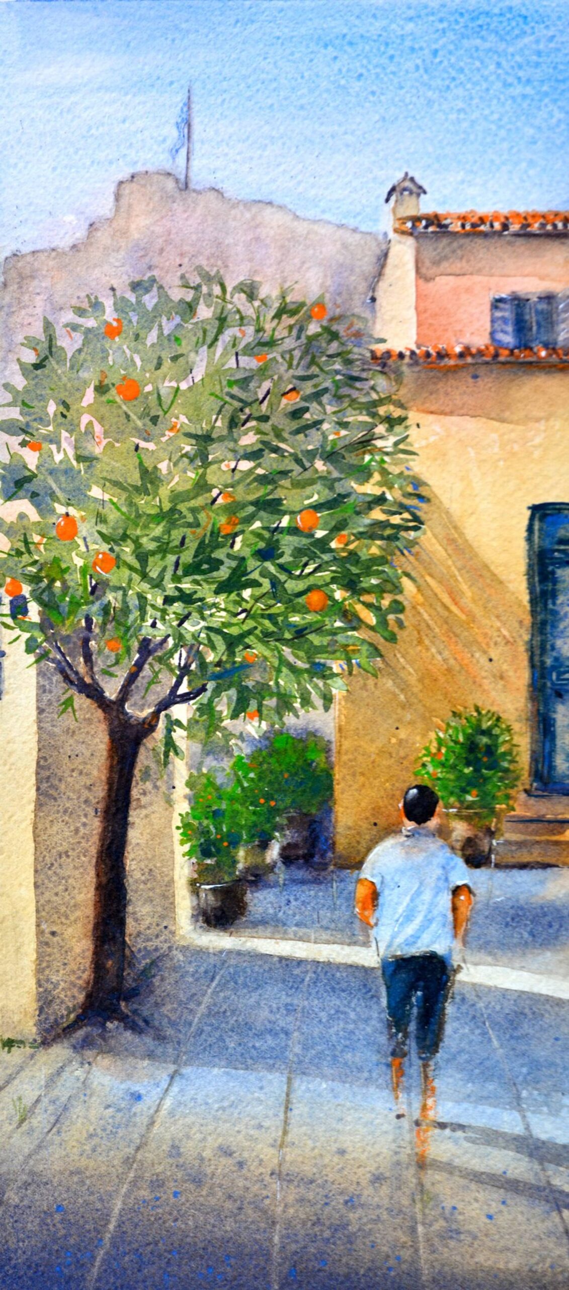 Drvo narandže Atina Grčka 17×36 cm 2022